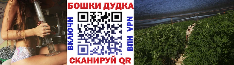 Купить закладки  Сковородино  Канабис гибрид 